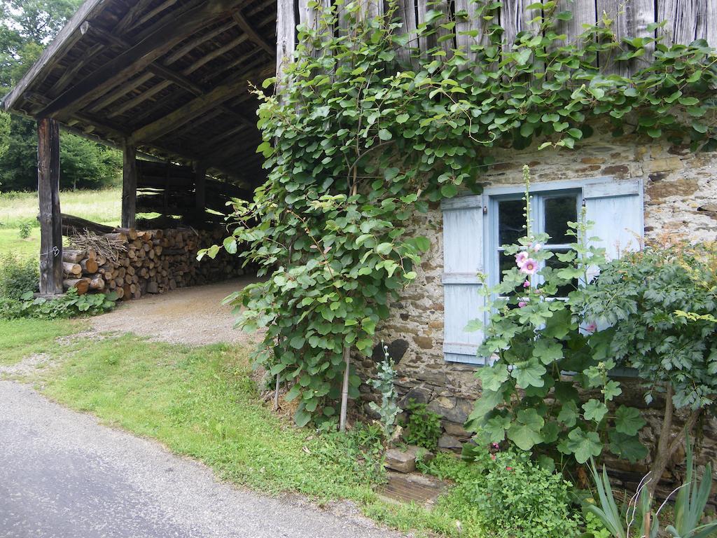 Bed and Breakfast Le Balcon Commingeois Chein-Dessus Pokój zdjęcie